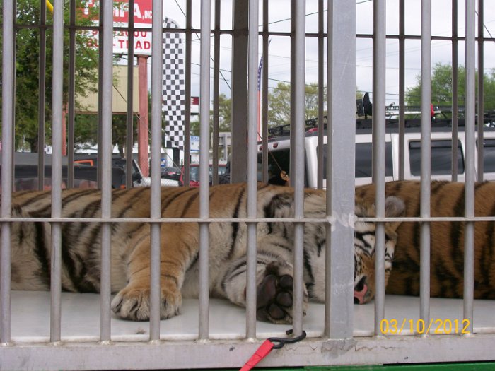 2012-Mar-10HGR4X4_4Wheelparts 021